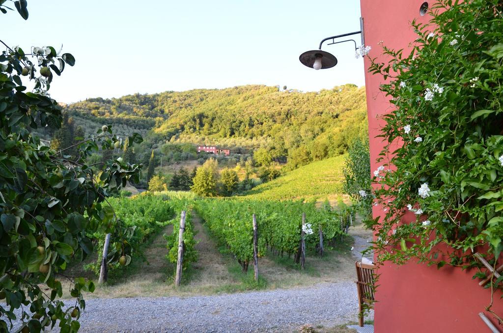 Agriturismo Le Murelle Lucca Luaran gambar